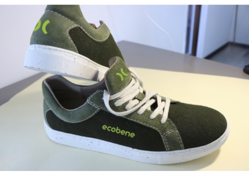 eco_isotype